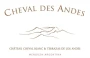 cheval des andes 2021 mendoza argentine